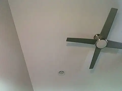 Londonfrotadejr online show from 03/07/25, 12:45