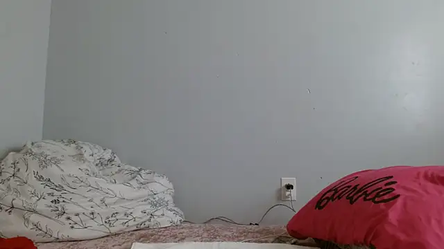 Snapshot of RavenWatts chatting on 01/26/25, 05:23 RavenWatts online show from 01/26/25, 05:23