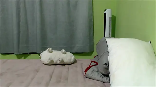 Snapshot of YummymeowW chatting on 12/14/24, 03:06 YummymeowW online show from 12/14/24, 03:06