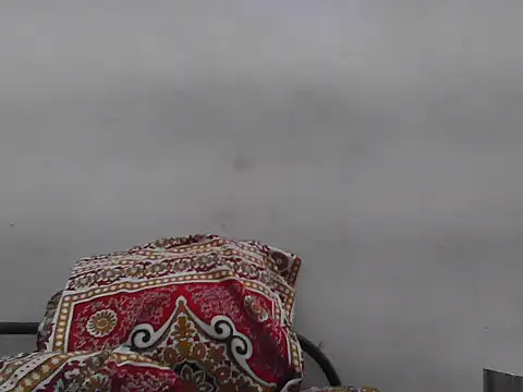 Snapshot of Roxy_Hard chatting on 06/12/26, 11:19 Roxy Hard online show from 06/12/26, 11:19