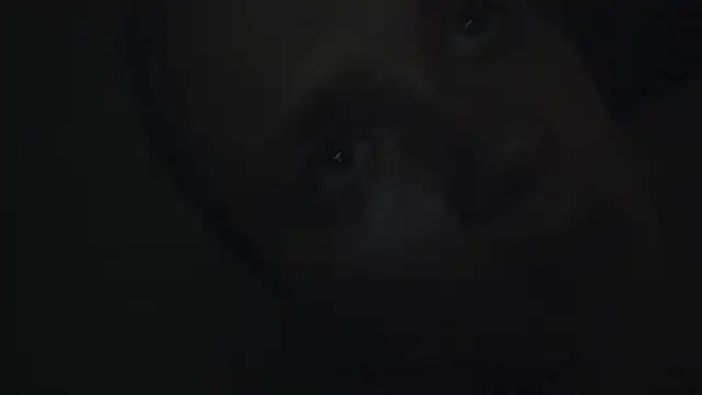 FrumCake online show from 01/15/25, 12:41