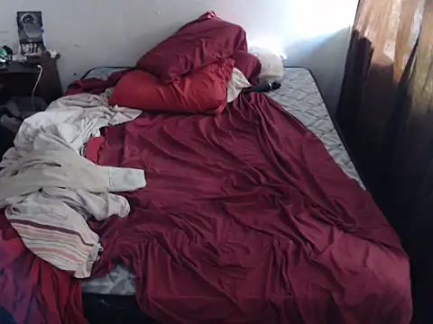 deftoolceles online show from 02/12/26, 06:51