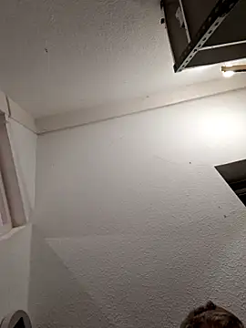 Percy ohv online show from 11/01/25, 09:08