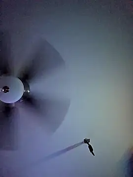 22sexytwin online show from 04/10/26, 05:36