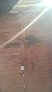 ZaraHoney online show from 10/30/25, 07:55