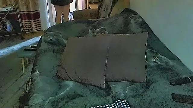 sex2 online show from 11/05/25, 01:09