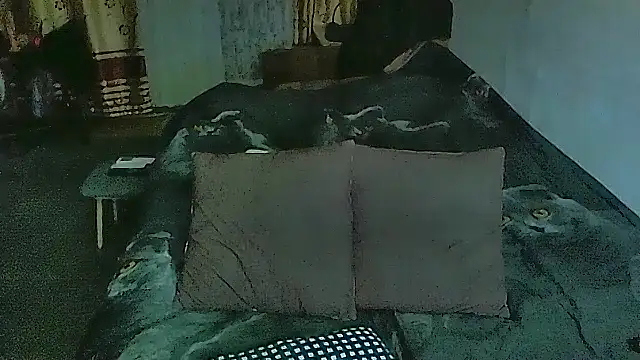 sex2 online show from 03/03/26, 09:55