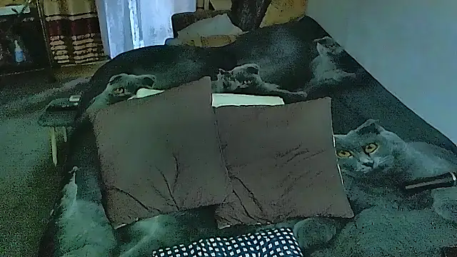 sex2 online show from 10/28/25, 04:13