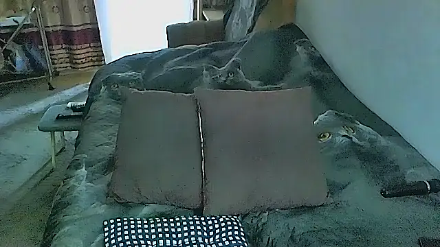 sex2 online show from 11/04/25, 02:26