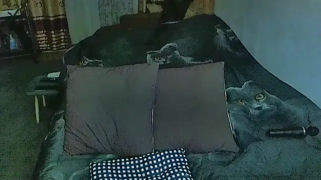 sex2 online show from 10/20/25, 09:26