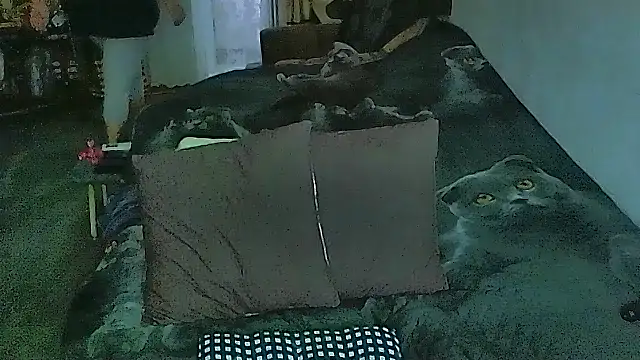 sex2 online show from 04/09/26, 12:45