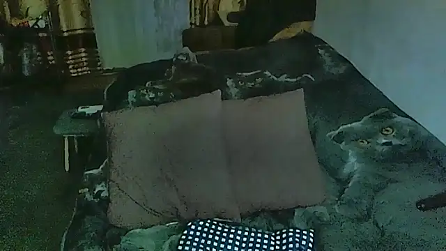 sex2 online show from 03/24/26, 11:38