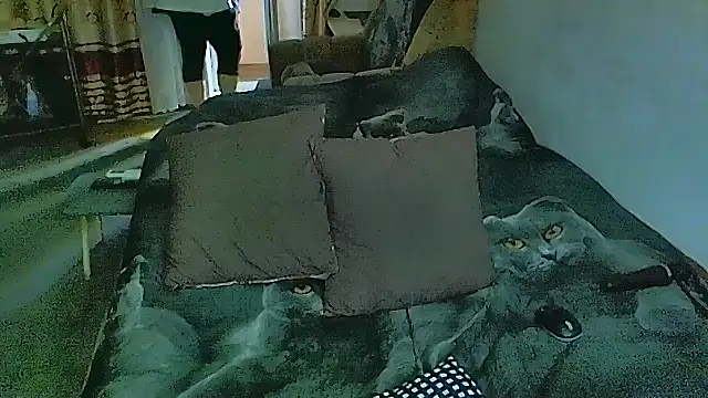 sex2 online show from 11/17/25, 07:34