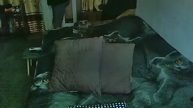 sex2 online show from 03/30/26, 12:12