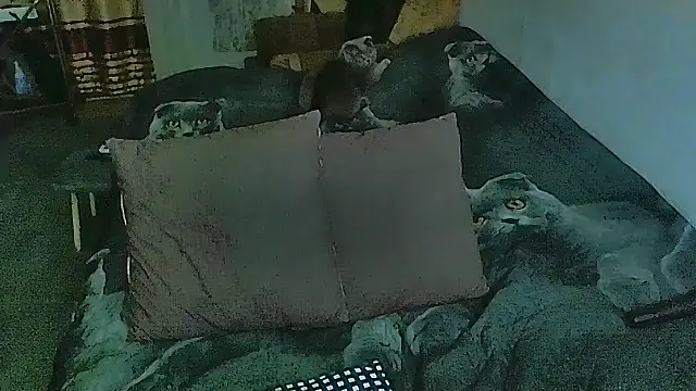 sex2 online show from 10/30/25, 07:00