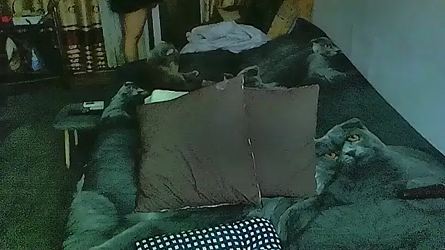 sex2 online show from 12/01/25, 10:10