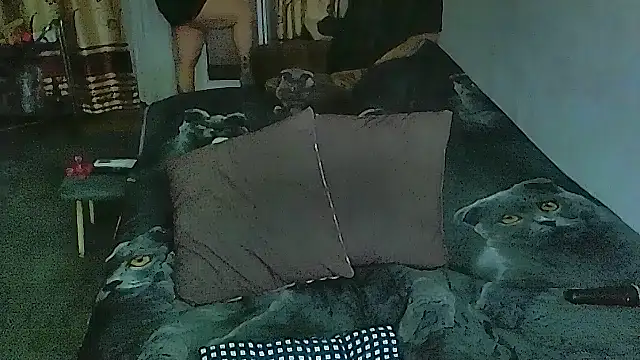 sex2 online show from 04/13/26, 11:20