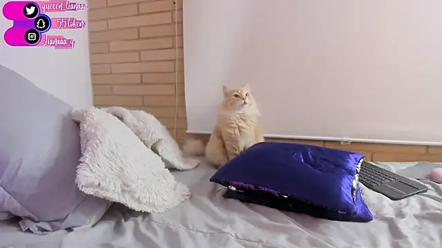 Snapshot of Queen_liana chatting on 01/10/25, 08:29 Queen liana online show from 01/10/25, 08:29