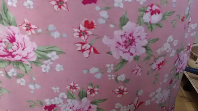 Anabelldestiny online show from 11/19/25, 06:46