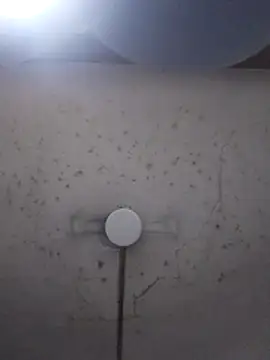 marie12345679 online show from 02/26/26, 01:16