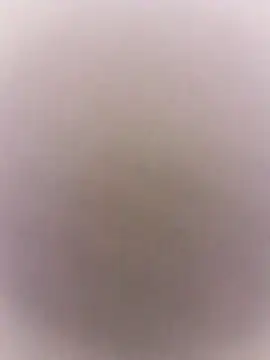 marie12345679 online show from 03/07/26, 08:58