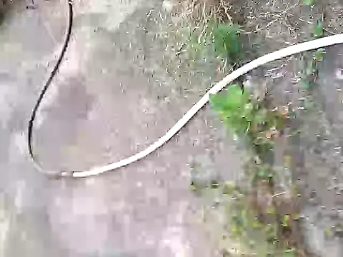 Pitercom online show from 10/05/25, 02:02