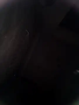 Pitercom online show from 02/08/26, 12:52