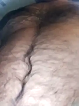 Pitercom online show from 11/18/25, 10:29