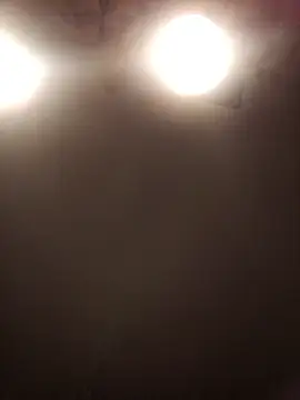 lilianashemale online show from 11/01/25, 03:13