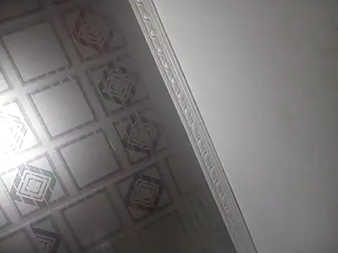 PlanetalMilk online show from 04/25/26, 02:03