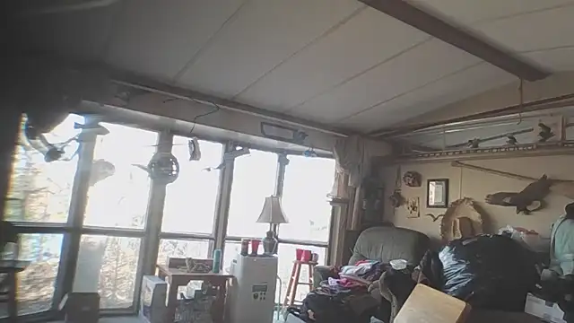 Yankeedave420 online show from 11/14/25, 05:27