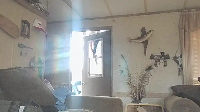 Yankeedave420 online show from 11/19/25, 06:08