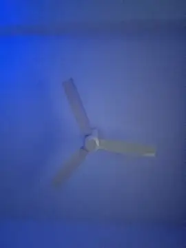 monabhabi22 online show from 02/24/25, 11:32