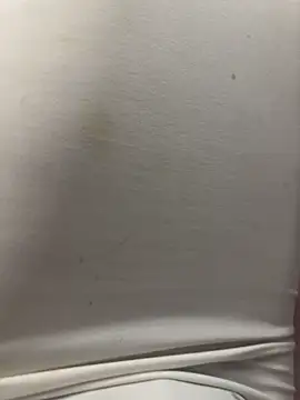 DulceLenns online show from 04/16/26, 07:36