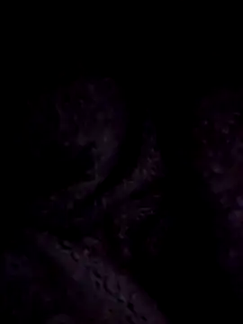 Snapshot of ScarletCallings420 chatting on 12/22/24, 09:20 ScarletCallings420 online show from 12/22/24, 09:20