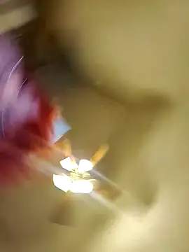 Cutegothcrybabyx online show from 10/14/25, 11:25