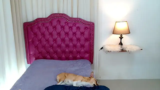 DreamLADYBOY online show from 02/24/26, 01:06