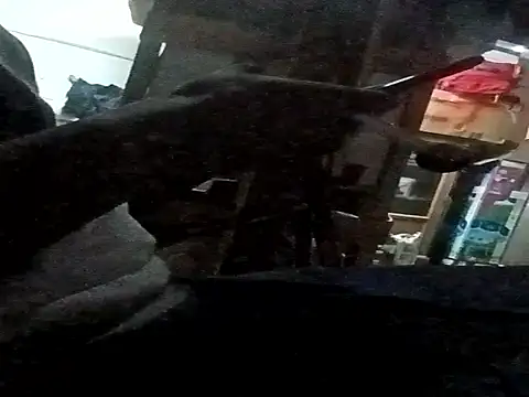 BIG-CkD F online show from 11/12/25, 07:51