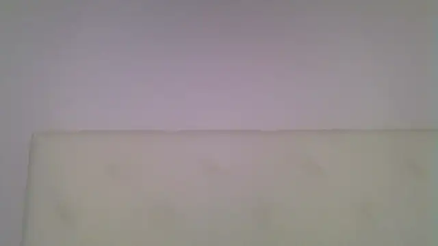 Snapshot of EvaaMina chatting on 11/18/25, 10:29 EvaaMina online show from 11/18/25, 10:29