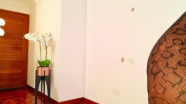 lissetlong69 online show from 02/20/26, 11:50