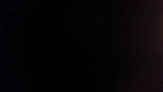 palidin1 online show from 12/05/25, 06:23