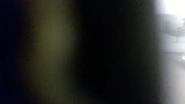 palidin1 online show from 02/01/26, 07:50