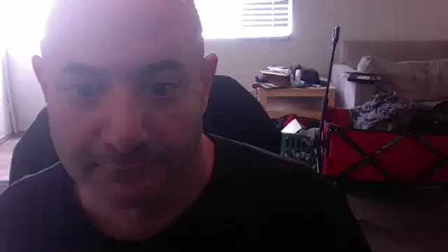 palidin1 online show from 11/24/25, 09:37