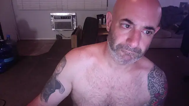 palidin1 online show from 04/22/26, 05:36