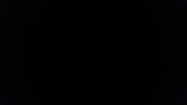 palidin1 online show from 06/27/26, 07:42