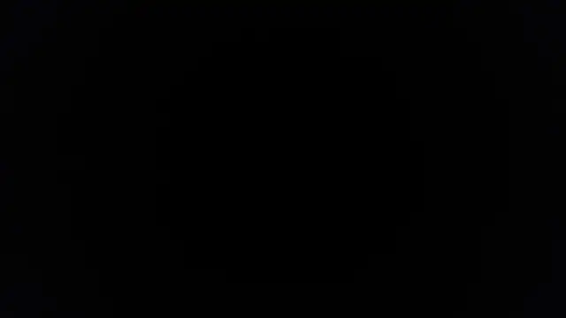 palidin1 online show from 11/25/25, 10:37