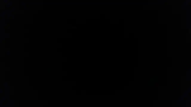 palidin1 online show from 12/05/25, 07:45