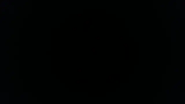 palidin1 online show from 11/26/25, 01:16