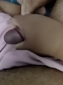 vini4016 online show from 12/29/24, 06:16