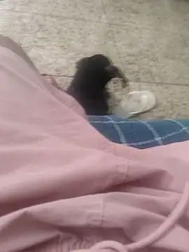 vini4016 online show from 12/20/24, 12:05